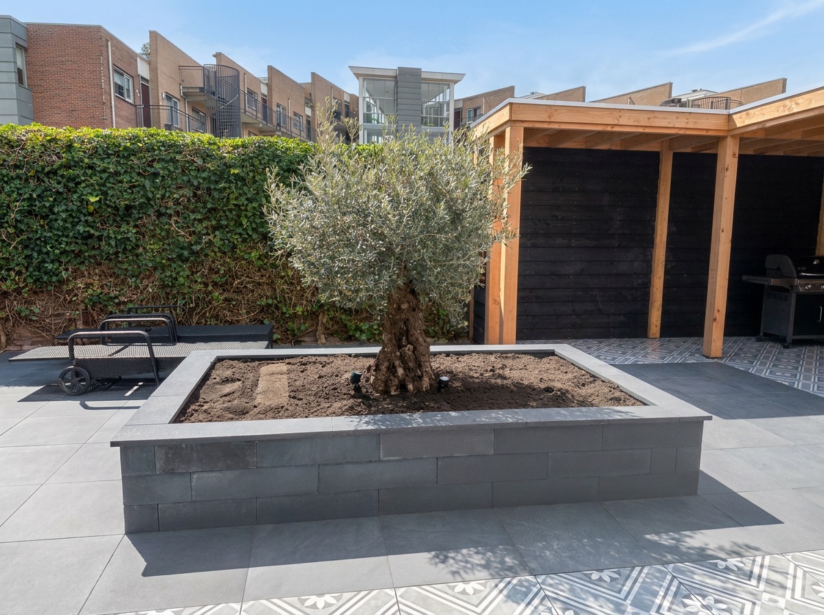 Plantenbakken met olijfboom en beplanting, tuinrenovatie Bergschenhoek